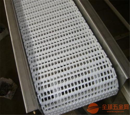 模塊網帶輸送機 環保 食品專用輸送機